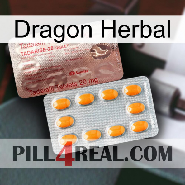 Dragon Herbal new13.jpg